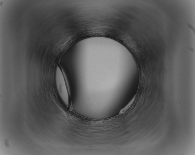 X0000097870021200803281212