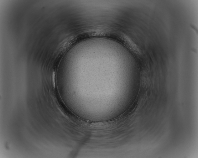 X0000097870022200803281211