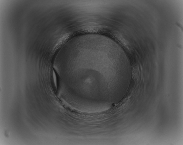 X0000097870023200803281211