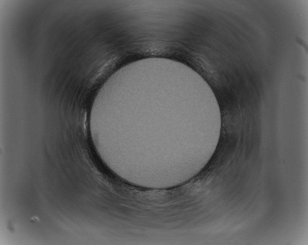 X0000097870024200803281211