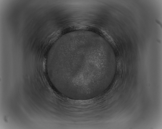 X0000097870026200803281211
