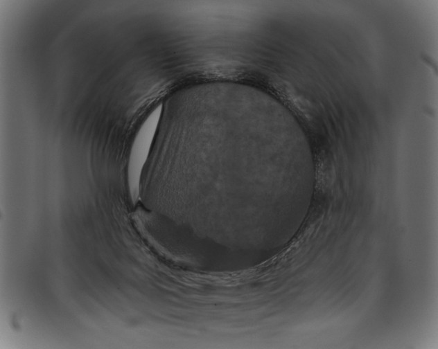 X0000097870027200803281211