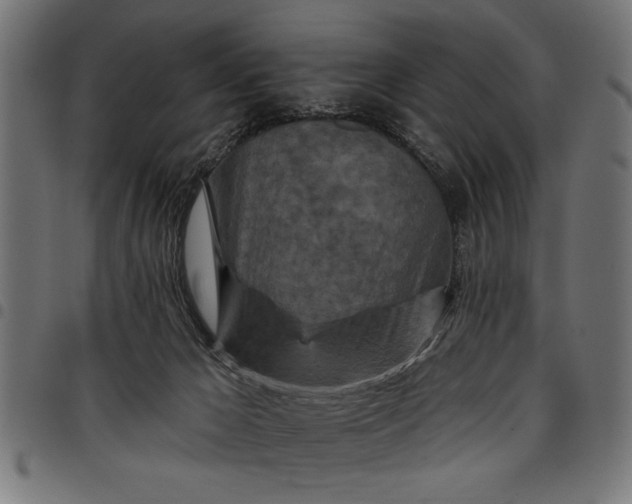 X0000097870029200803281211