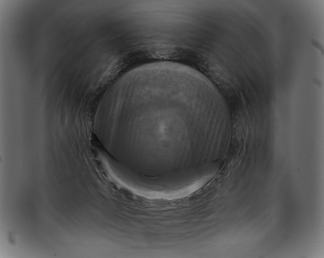 X0000097870031200803281211