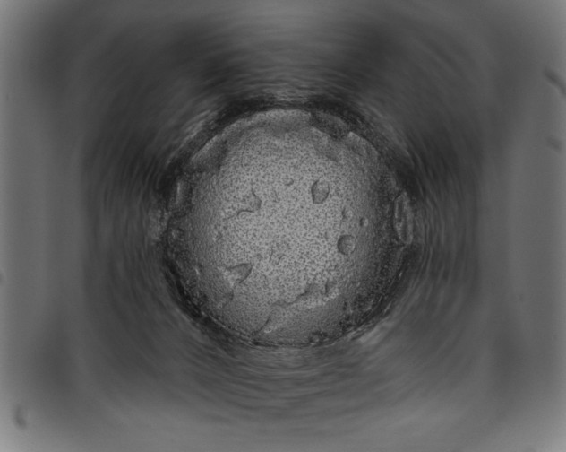 X0000097870032200803281211