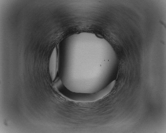 X0000097870033200803281211