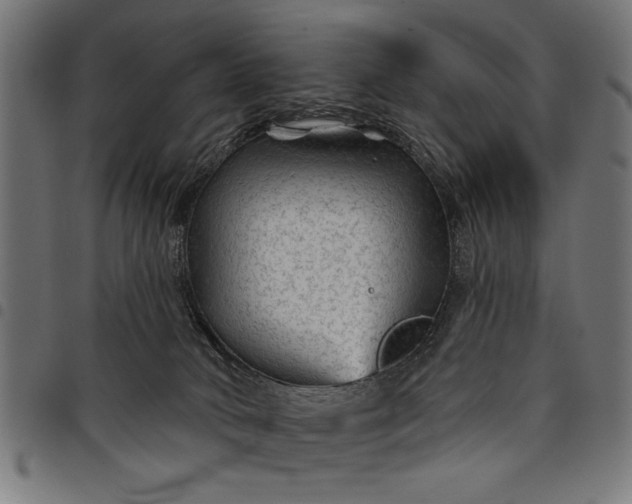 X0000097870034200803281211