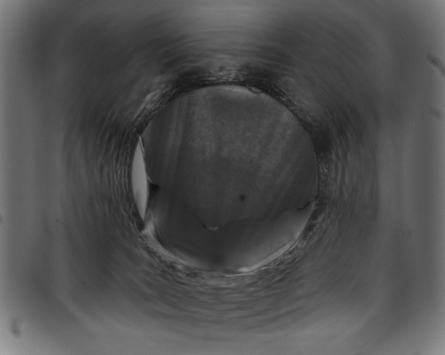 X0000097870035200803281211