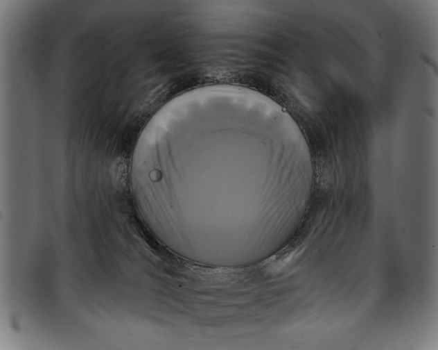 X0000097870036200803281211