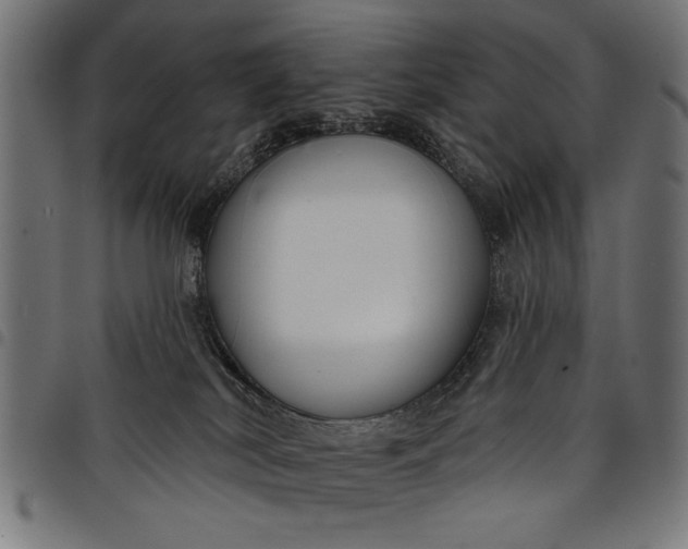 X0000097870038200803281211