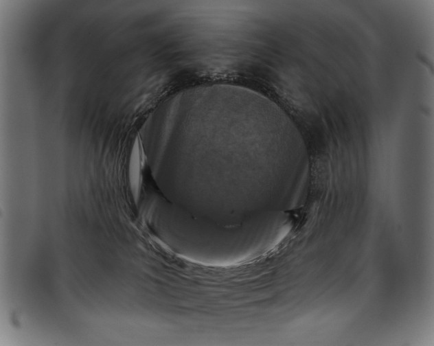 X0000097870039200803281211