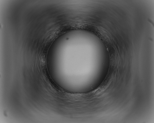 X0000097870040200803281211