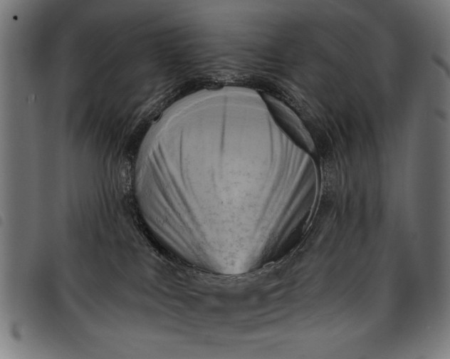 X0000097870043200803281211