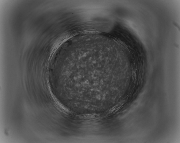 X0000097870049200803281210