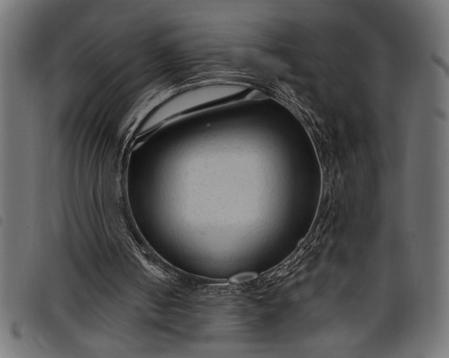 X0000097870050200803281210