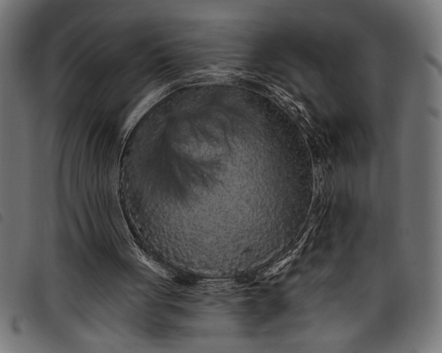 X0000097870051200803281210