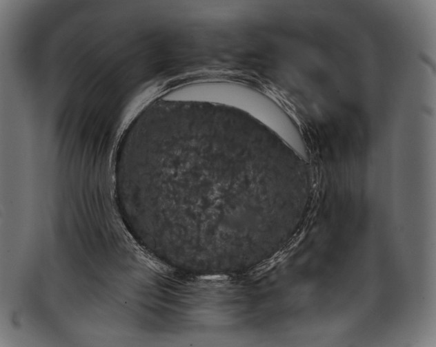 X0000097870053200803281211