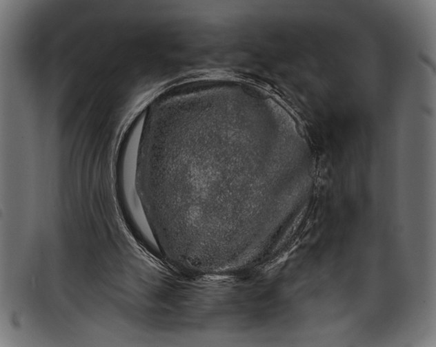 X0000097870055200803281211