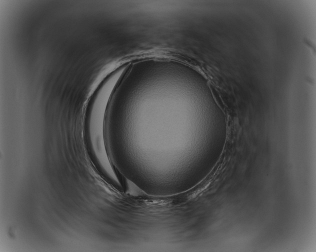 X0000097870056200803281211