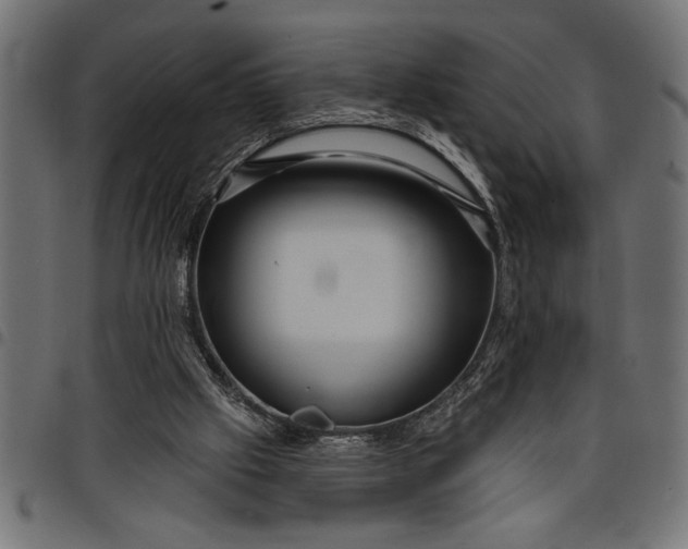 X0000097870057200803281211