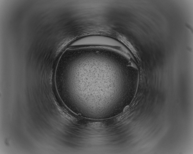 X0000097870058200803281211