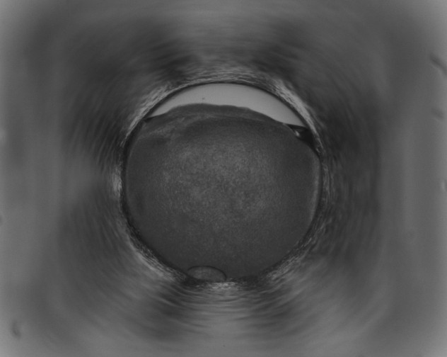 X0000097870059200803281211