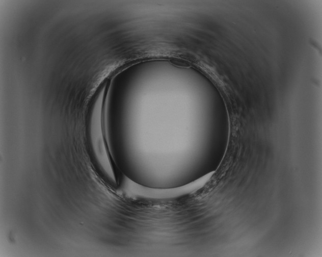 X0000097870060200803281211