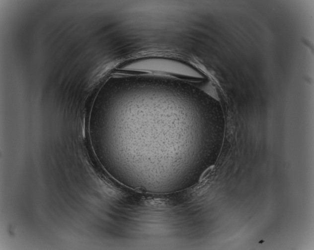 X0000097870062200803281211