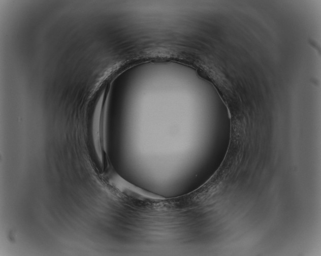 X0000097870064200803281211