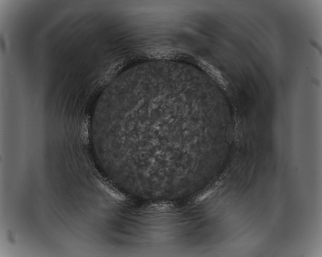 X0000097870065200803281211