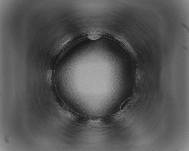 X0000097870066200803281211