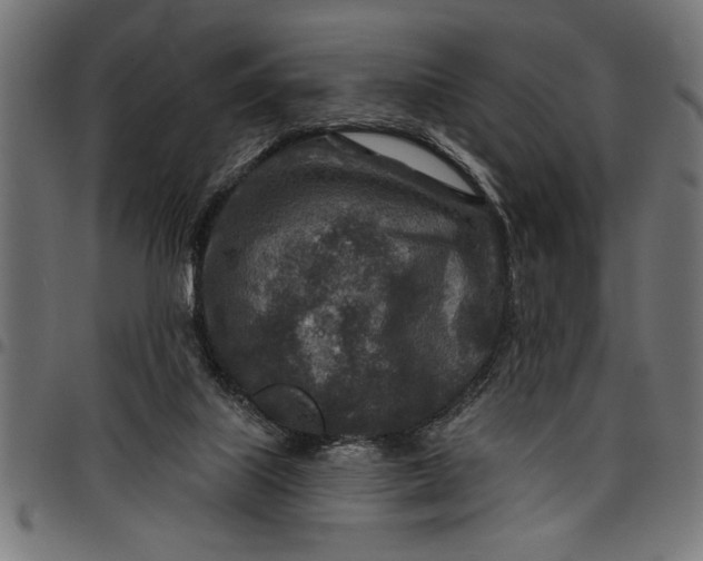 X0000097870067200803281211