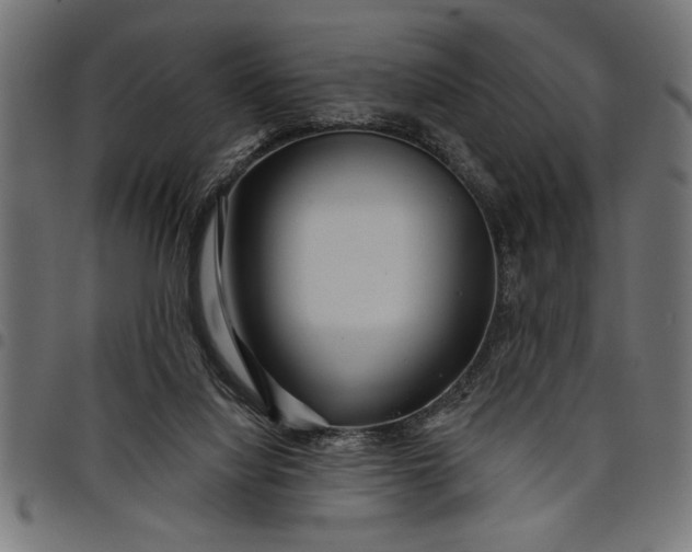 X0000097870068200803281211
