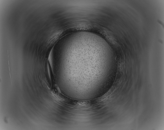 X0000097870070200803281211