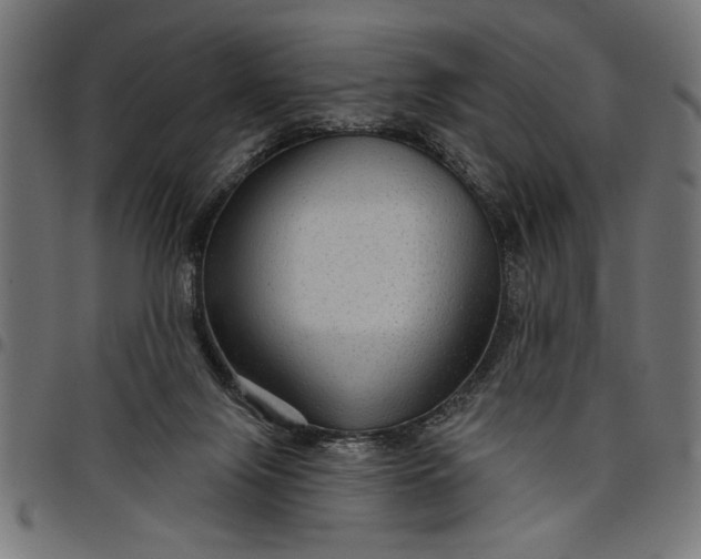 X0000097870071200803281211