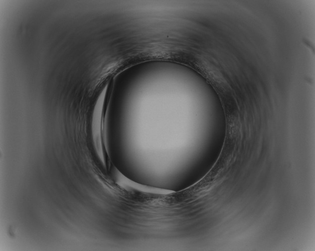 X0000097870072200803281211