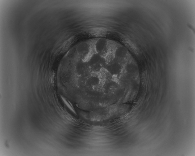 X0000097870073200803281211