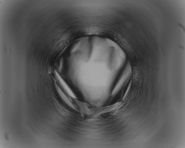 X0000097870074200803281211