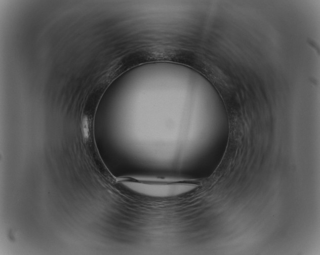 X0000097870075200803281211