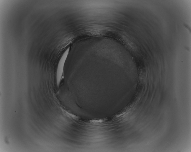 X0000097870076200803281211