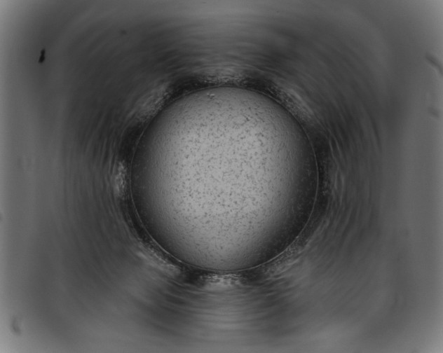 X0000097870077200803281211
