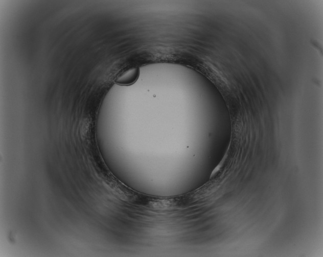 X0000097870079200803281211
