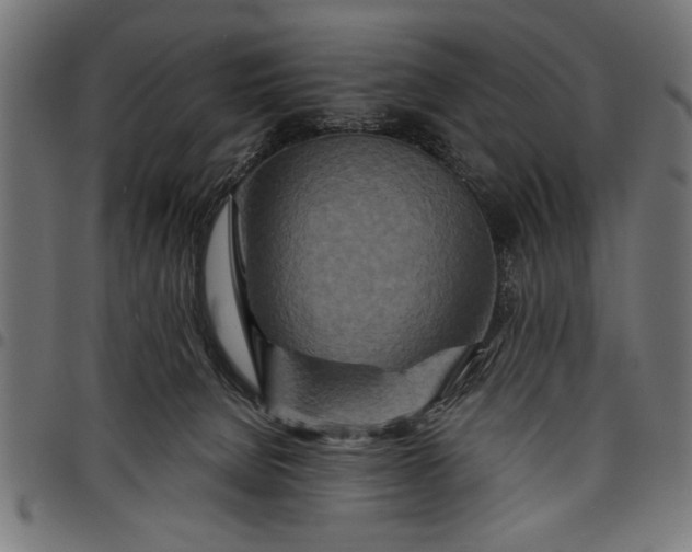 X0000097870080200803281211