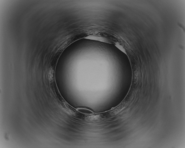 X0000097870081200803281211