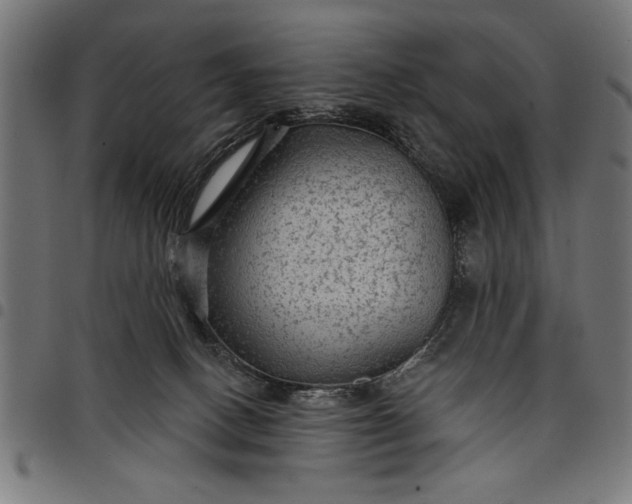 X0000097870082200803281211