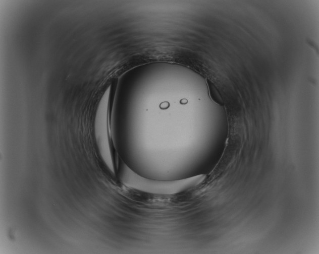 X0000097870084200803281211
