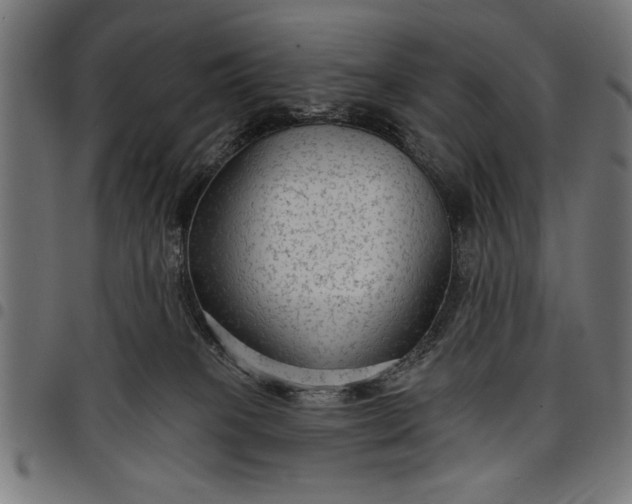 X0000097870085200803281211