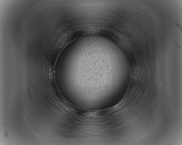 X0000097870086200803281211