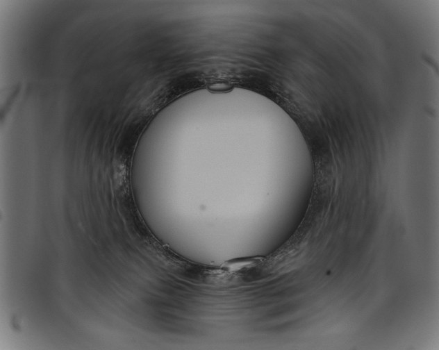 X0000097870087200803281211