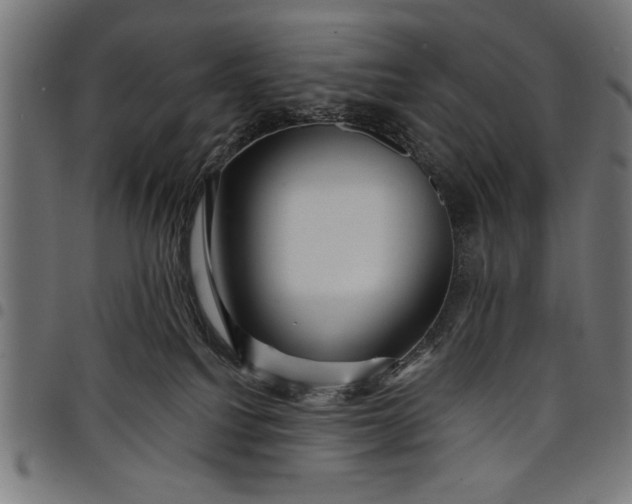 X0000097870088200803281211